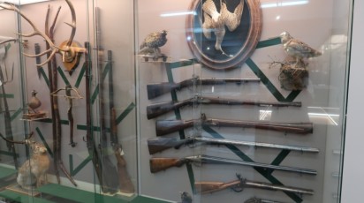 Посетителей Ставропольского краевого музея приглашают на выставку оружия XVIII –ХХ веков