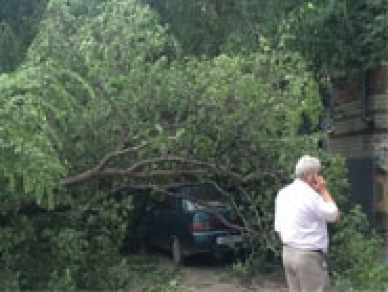 Порыв ветра свалил на легковушку дерево в столице КЧР