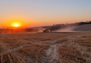 На Ставрополье аграрии Предгорного округа обмолотили более 28 тысяч га полей