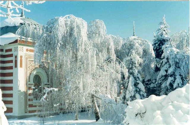 Владимир Зимой Фото