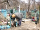 На кладбищах Ставрополя пенсионеров и инвалидов обеспечат спецтранспортом