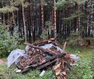 Мэр Кисловодска попросил у земляков помощи в поиске мусорных хулиганов