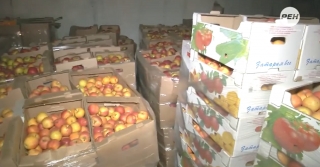 <i>Сгноили 600 тонн овощей и фруктов</i>