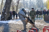 Первая в КЧР официальная площадка для выгула собак открылась в Черкесске
