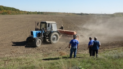 Казаки хутора Зайцев Курского района засеяли 45 гектар озимой пшеницы и ячменя