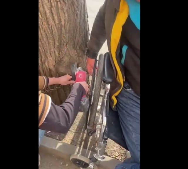 <i>В Кисловодске заметили прикованного железной цепью к дереву инвалида</i>