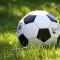 В Ставрополе разыграют Кубок главы города по мини-футболу
