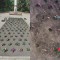 В Предгорье клумбу на военном мемориале разорили спустя день после высадки