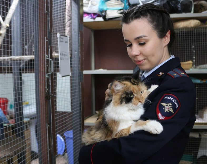 Женский приют. Приют для животных Ставрополь. Приют лучший друг Ставрополь. Приют лучший друг Ставрополь фото. Ставрополь приют лучший друг 10yjz,Hz 2022.