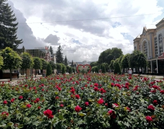 В Кисловодске поправят здоровье более 40 детей с Запорожской области РФ