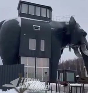 Дагестанец к неудовольствию соседей построил дом-слон