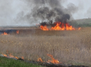 В Ипатовском округе пожарные потушили возгорание на поле