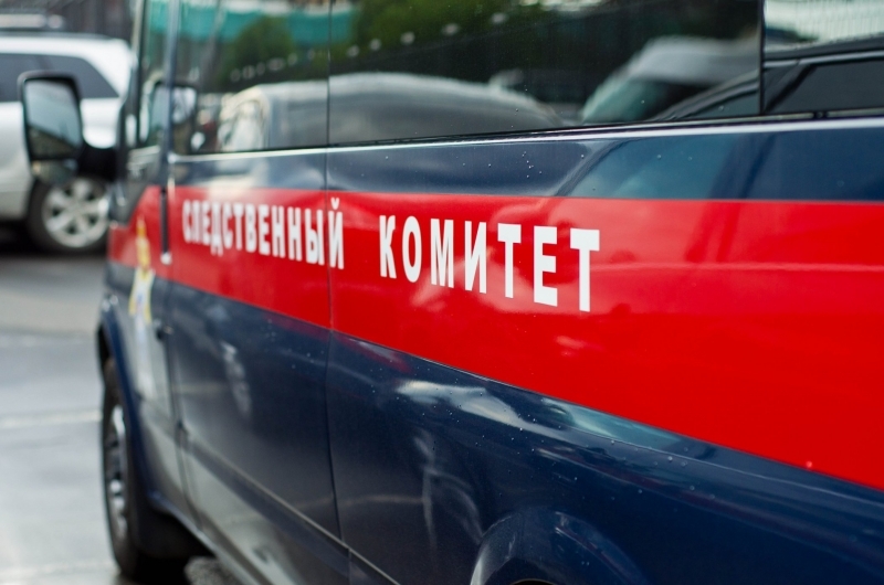 В Дагестане глава района и главбух похитили 175 миллионов рублей посредством «сети» школьных директоров