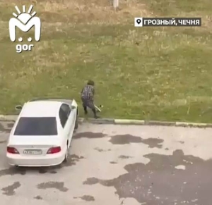 В Грозном осатаневшая женщина избила щенка палкой