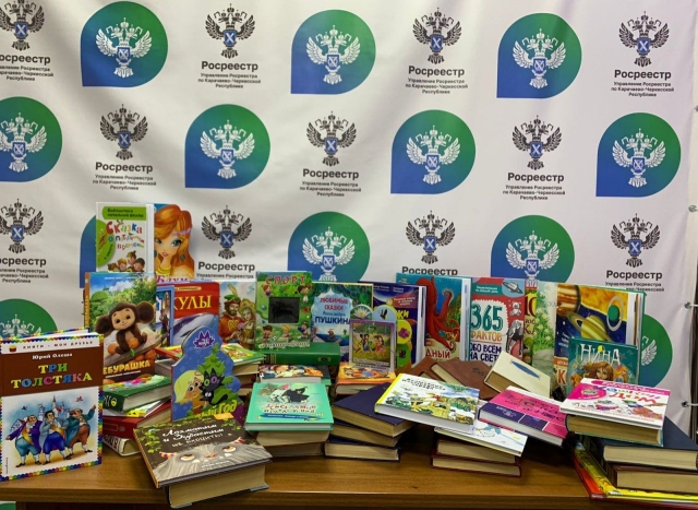 <i>Молодежь Росреестра в СКФО собрала книги для детей в новых регионах России</i>