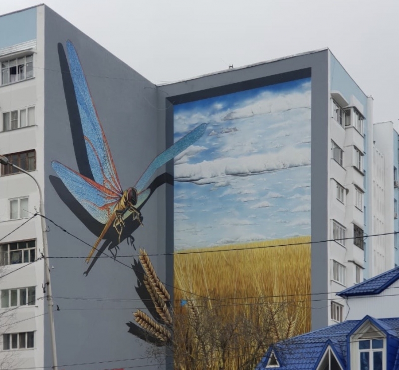 Фасад многоэтажного жилого дома в Железноводске украсила гигантская стрекоза