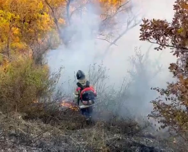 <i>В Пятигорске тушат пожар на склоне Машука. Видео</i>