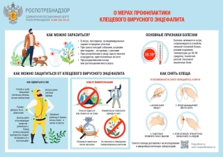 На Ставрополье не снижается активность иксодовых клещей