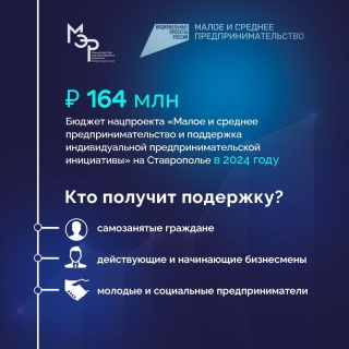 На Ставрополье предпринимателям в 2024 году помогут ₽164 миллионами