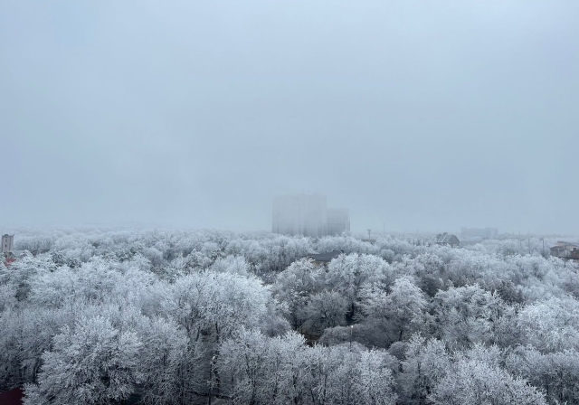 <i>В новогодние каникулы на Ставрополье усилят патрулирование лесов</i>