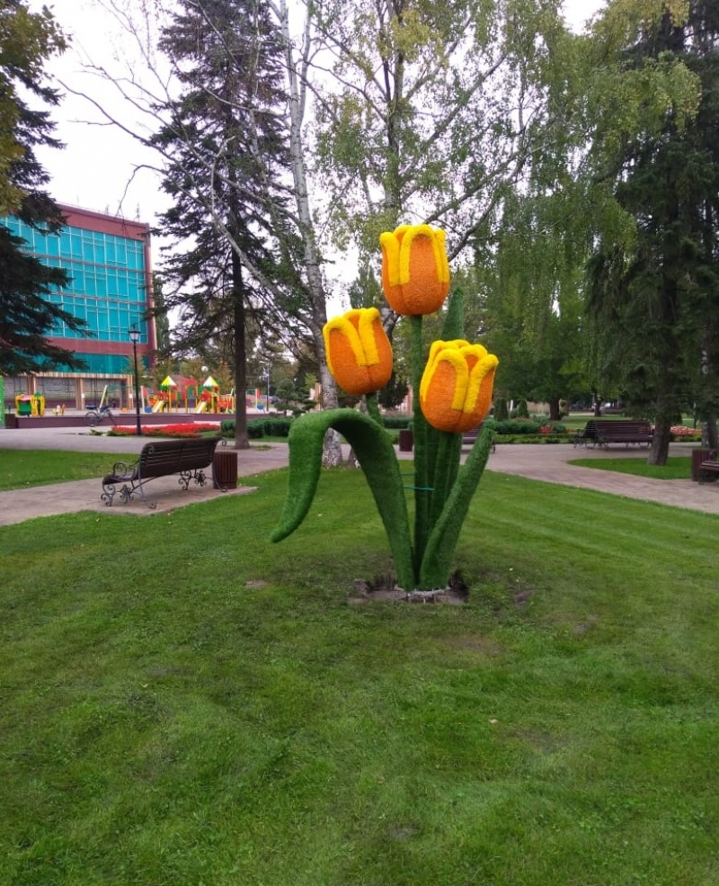 Тюльпаны "расцвели" на Крепостной горе