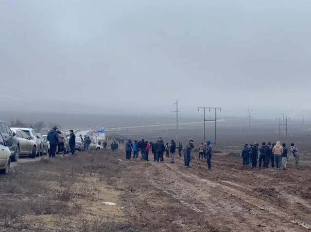 <i>В Буйнакском районе высадили тысячу деревьев в честь бойцов СВО</i>