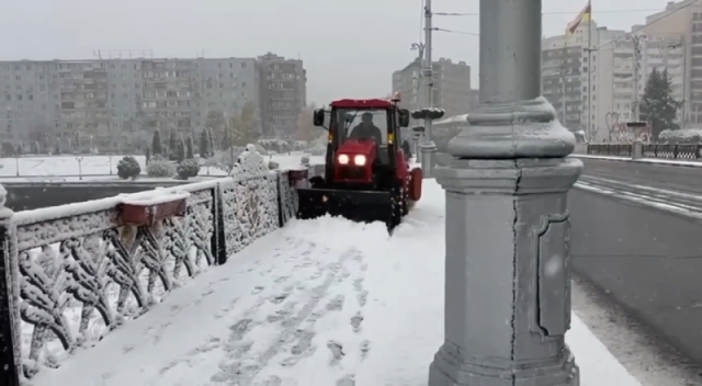 <i>Жителей Владикавказа просили беречься деревьев</i>