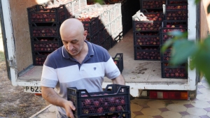 Аграрии Дагестана поделились урожаем с соцучреждениями региона