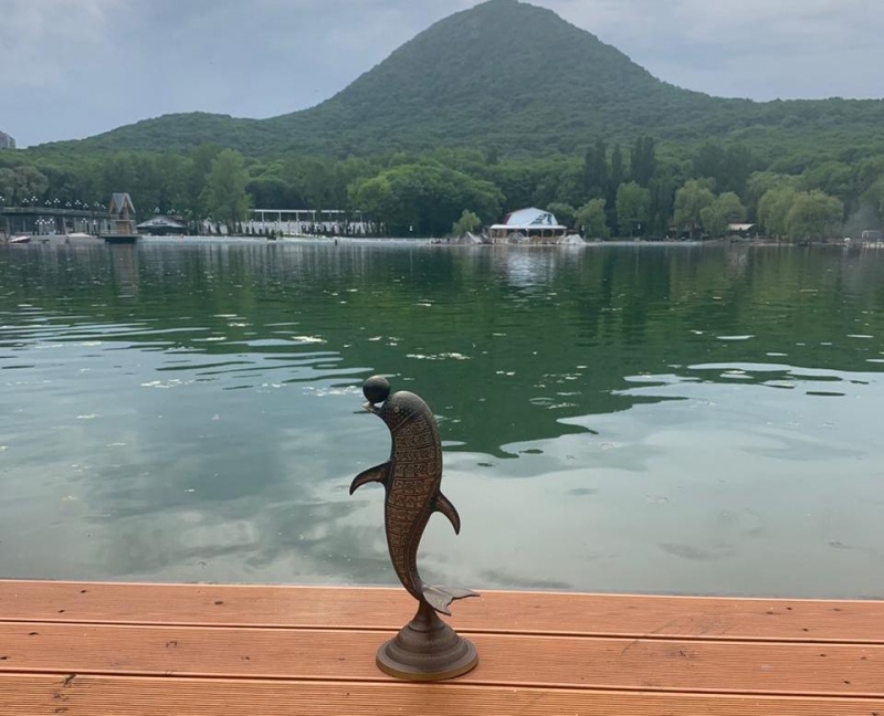Дельфин "танцевал" на дне озера