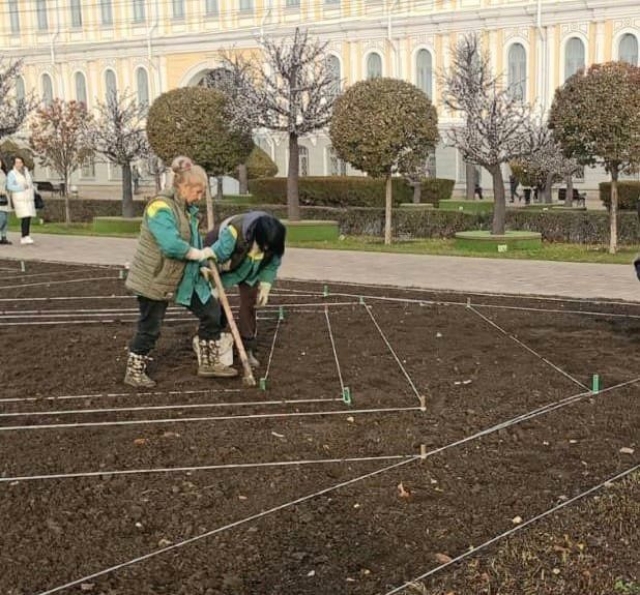 <i>В Ставрополе началась плановая осенняя высадка цветов</i>