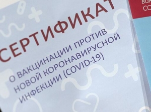 У селянина в Чечне обнаружили фальшивые сертификаты о вакцинации от ковида