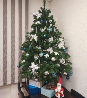 Финансисты Невинномысска нарядили новогоднюю елку. Это значит в городе снова досрочно выполнен план по собственным доходам бюджета