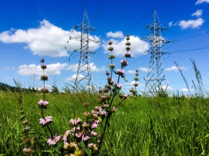 «Россети Северный Кавказ» повысили надежность энергоснабжения Пятигорска и прилегающих поселков