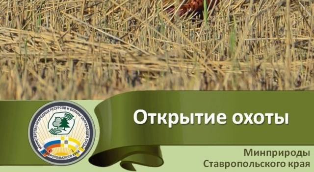 <i>На Ставрополье открыли сезон охоты на болотно-луговую дичь</i>