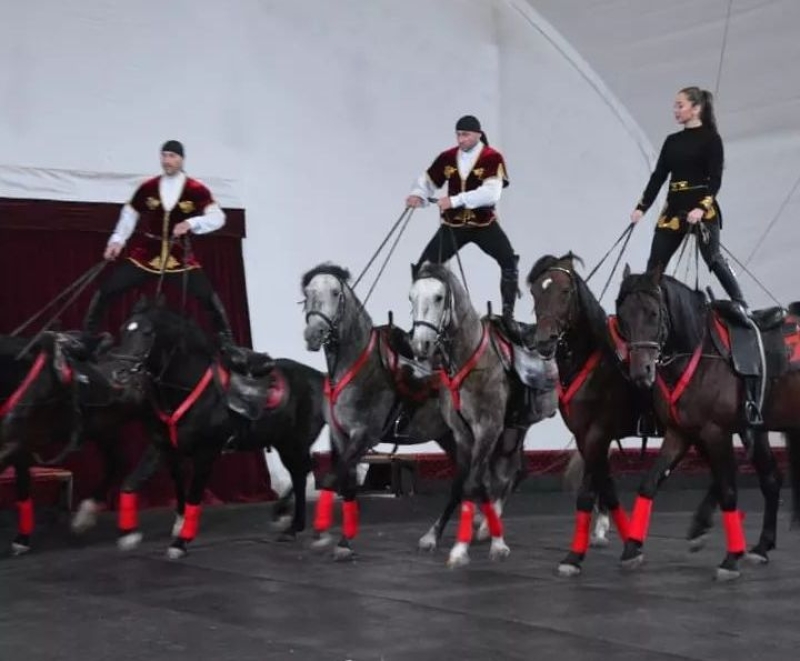 Для конного театра «Нарты» во Владикавказе возведут собственное здание