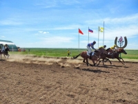 Открытые конноспортивные соревнования прошли в селе Новоселицком
