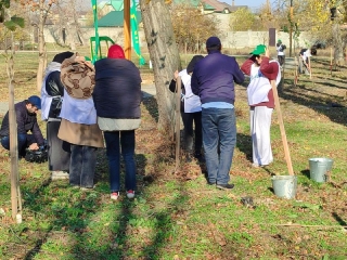 В Дагестане Дню матери посвятили высадку 25 тысяч деревьев