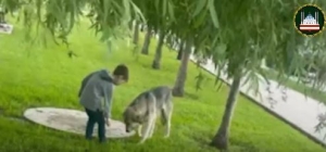 В Грозном мальчика наградили за милосердие к животным