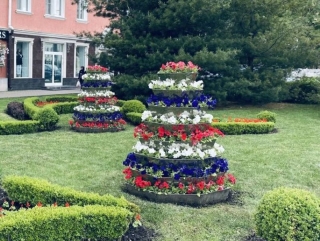 Клумбы Ставрополя ко Дню России украсили 100 тысяч цветов