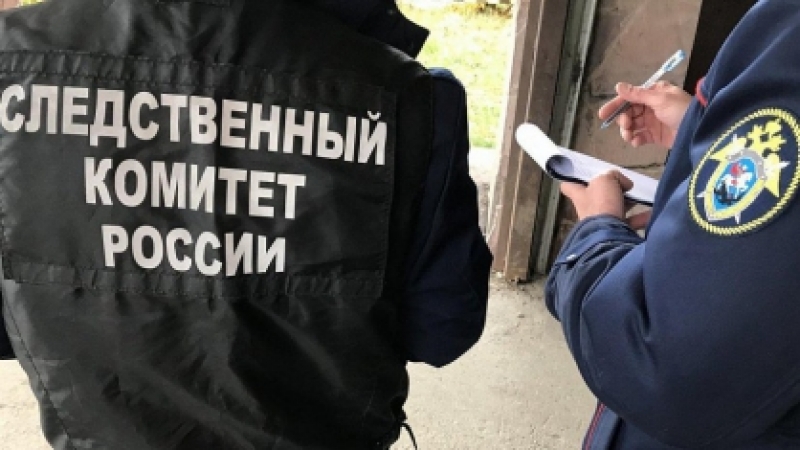 Во Владикавказе чиновник ответит за то, что не предвидел падение тополя