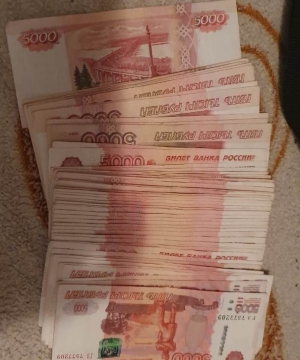 На Ставрополье организованная группа мошенников похитила 150 млн рублей