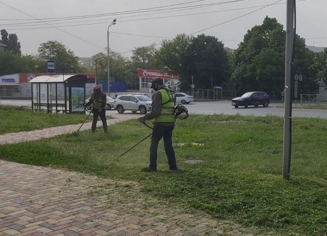 <i>В Ставрополе коммунальщики покосили траву на 400 га</i>