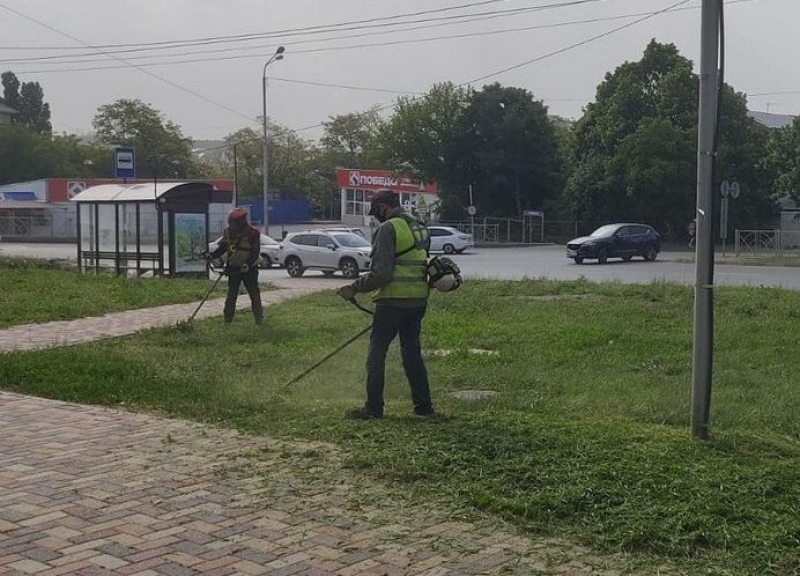 В Ставрополе коммунальщики покосили траву на 400 га
