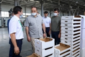 В Дагестане открыли крупную фабрику по производству гофротары