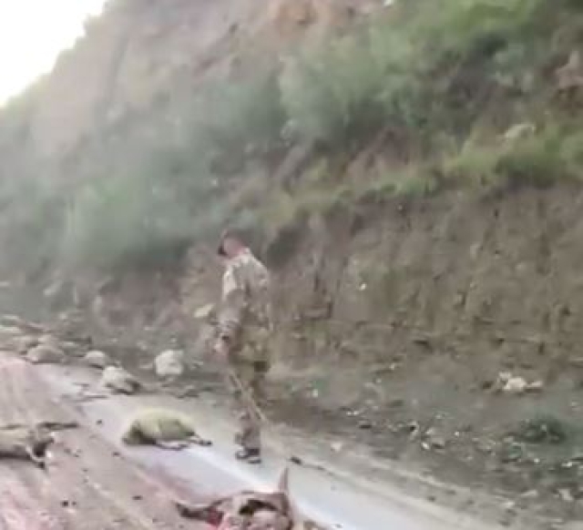 <i>В Дагестане водитель КамАЗа задавил сто овец</i>