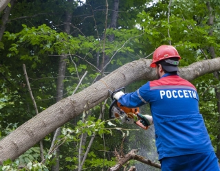 «Россети Северный Кавказ» расчистили от поросли более 345 га трасс ЛЭП