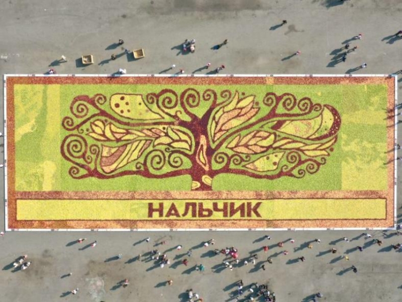 Яблочное панно внесли в книгу рекордов России