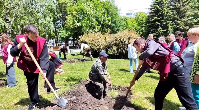 <i>В Ставрополе в сквере Памяти и на улице Мира высадили новые деревья</i>