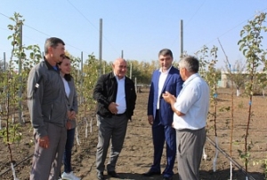 Делегации Северной Осетии в КЧР представили опыт интенсивного садоводства
