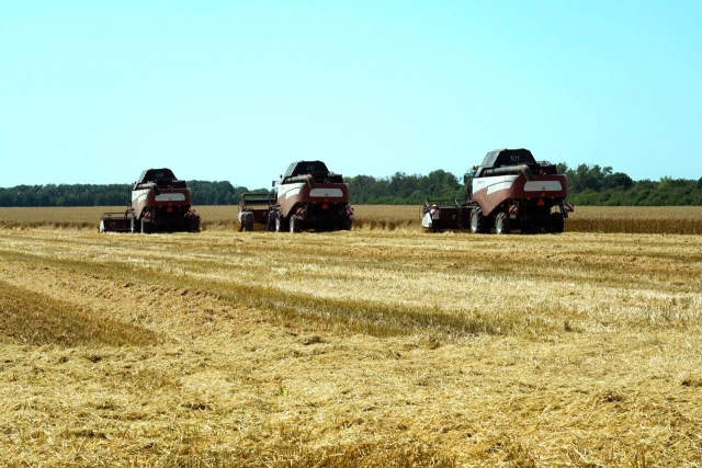 <i>На Ставрополье собрали более 7 миллионов тонн зерна</i>